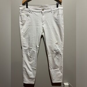 White House Black Market White Cropped Distressed Women Jeans